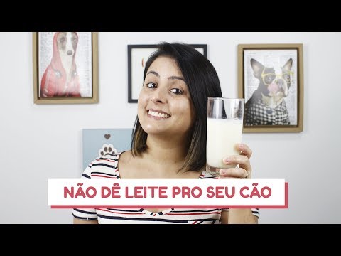 Vídeo: Os Benefícios E Malefícios Do Leite De Vaca Para Cachorros