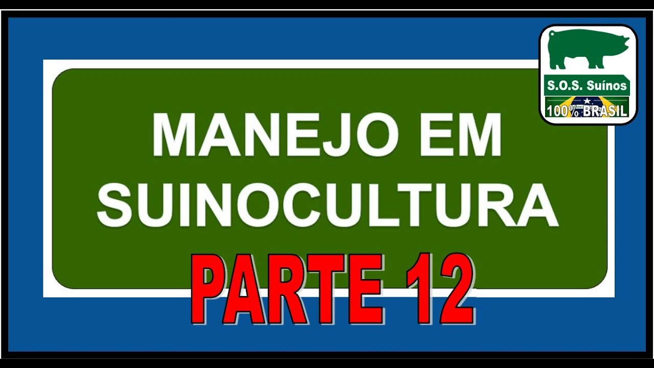 SUINOCULTURA: SOS SUÍNOS - MANEJO EM SUINOCULTURA  PARTE 12