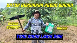 MESIN RUMPUT ATAU MERACUN | MANA LEBIN BAIK UNTUK CUCI KEBUN DURIAN | EP 79