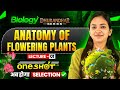 Anatomy of Flowering Plants I Lecture-01 I Biology - Dhurandhar Series For NEET/AIIMS 2026