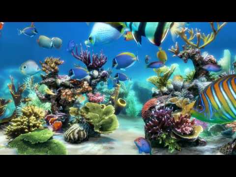 Sim Aquarium scene 1 (4K)