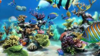 Sim Aquarium Scene 1 (4K)