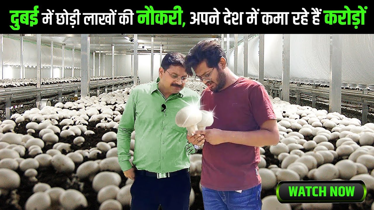 इंजीनियर से सीखो पैसे छापना 💰| Farming is also science | Process of growing fresh mushrooms in India