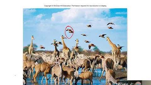 BIOL 1407 Lecture 55 Community Ecology