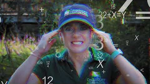 Observe Your World - Episode 3: Data Visualization and Analysis