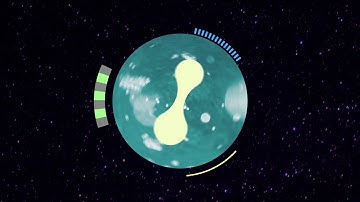 KNB126 Experiment 1 Shapes and Textures