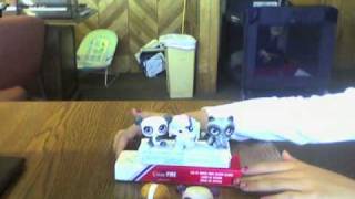 Capture 20090529 8