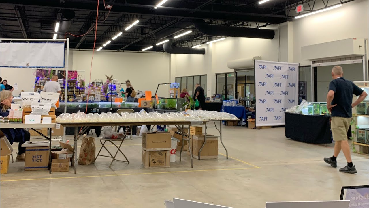 Keystone Clash 2023 walkthrough