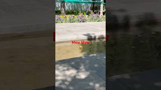 رفتم امادل من مانده ب ر  دوست هنوزمی برم جسمی ودل در ڪ رو اوست هنوز                                  سمعها