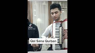 Eltac Music - Akardion Qal Sənə Qurban