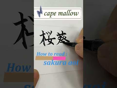 plant's name in Japanese kanji： cape mallow（サクラアオイ）アニソドンテア #Shorts