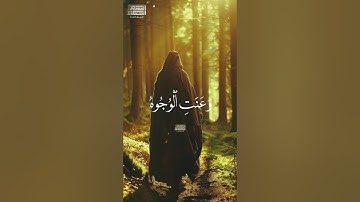 وَعَنَتِ ٱلۡوُجُوهُ لِلۡحَیِّ ٱلۡقَیُّومِۖ ❤️ الشيخ حجاج الهنداوي #تلاوه_خاشعه #القران_الكريم