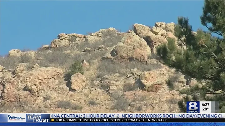 Mountain Lion Attack: Colorado man kills cougar with bare hands