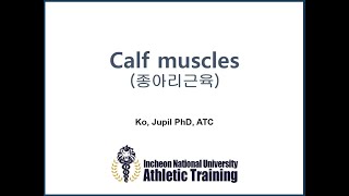 [Dr.Ko's 5분해부학] 비복근/가자미근 운동 올바르게 하고 계신가요?