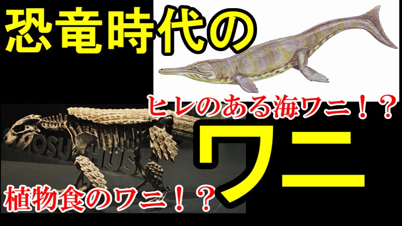 【ゆっくり解説】絶滅したワニ 前編【ゆっくりがもっと恐竜を解説すんよ～　第十一回前編】