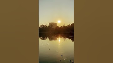 Specular Reflection 🌞