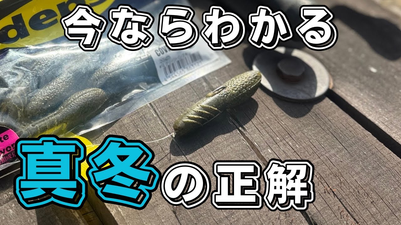 【バス釣り】カバースキャット【ボトムジャーク】が釣れない人は、この使い方だけ、やり切ってみて下さい。専用フック、セッティングの必要性とは【厳寒期対策】