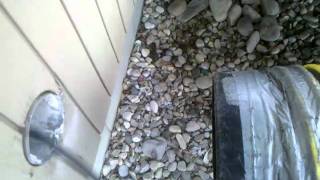 Stanley Steemer dryer vent cleaning