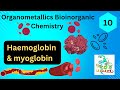 Haemoglobin & myoglobin | Organometallics & bioinorganic chemistry | IGNOU CHEMISTRY BSCG Hemoglobin