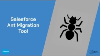 Salesforce Deployments ! Lead Conversion ! Workbench ! ANT ! Copado
