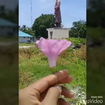 Patung Jenderal Sudirman/Alor NTT