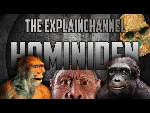 Hominiden (Menschliche Evolution) einfach erklärt