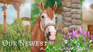 Our Newest Arrivals! II 5 New Horses, Rescues & More! II SSO RRP
