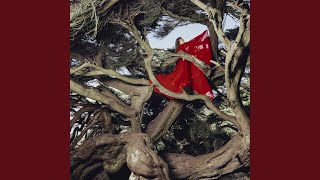 Surviving You - Hannah Frances