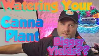 Watering Your Plants and More