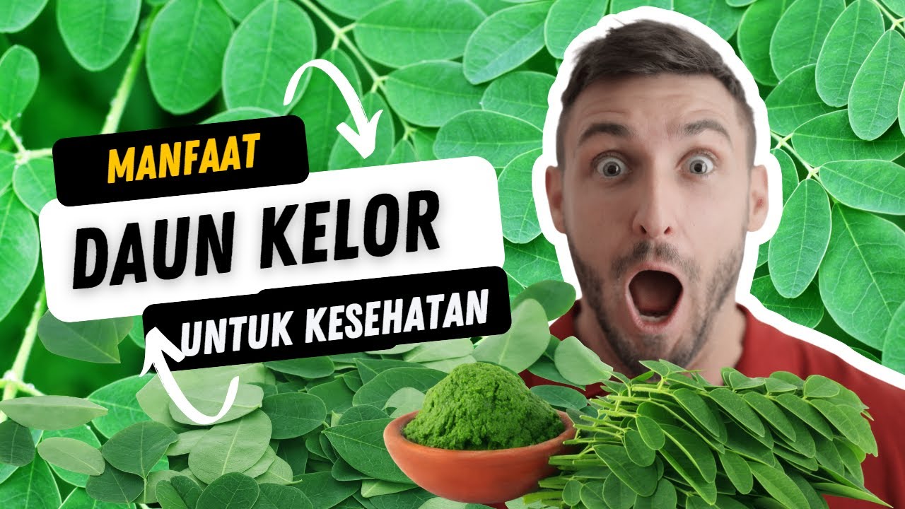 Mengenal 16 Manfaat Daun Kelor untuk Kesehatan Tubuh dan Efek Samping