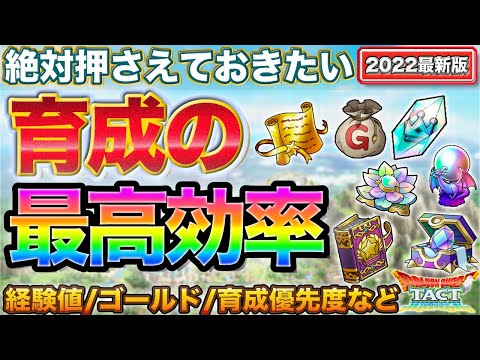 【ドラクエタクト】"今さら聞けない"育成を最高効率で行うための基本【2022最新版】【経験値/ゴールド/スタミナ/とくぎ強化/ランクアップ/覚醒/とくぎ強化/錬金/素材ストック】