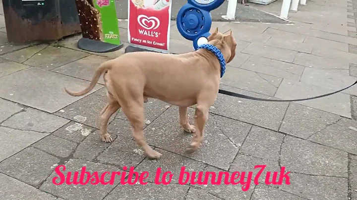 look what I find on my walk in Luton UK