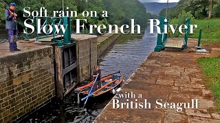 Soft rain on a slow French river, with a British Seagull