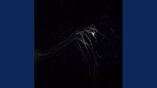 Dust