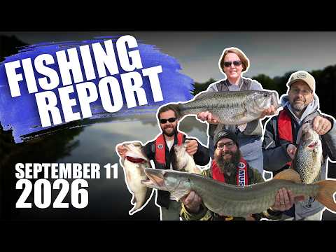 Fishing Report - September 11, 2026