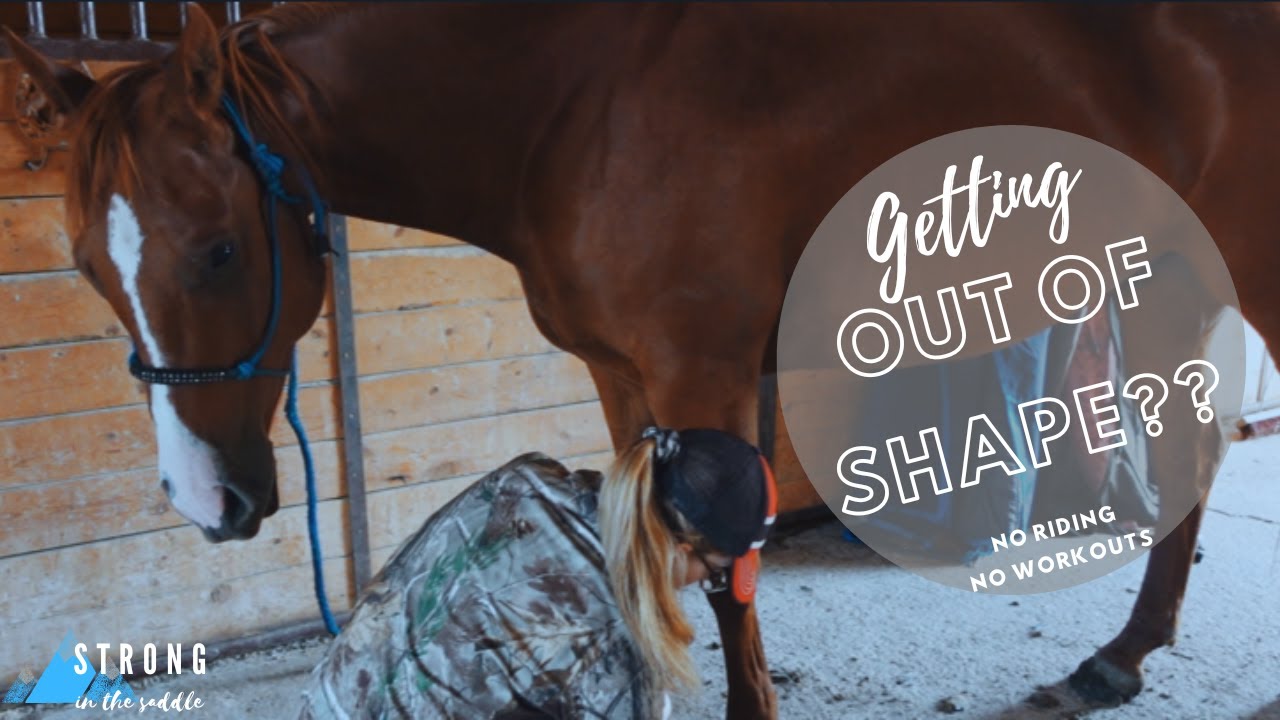 How Fast Will Your Horse Lose Fitness YouTube