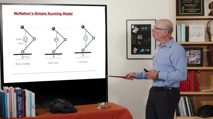 Biomechanics of Movement | Lecture 3.1: Improving Running Performance by Tuning the Running Surface