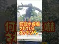 【女性植木職人】只今、帰り仕度中！