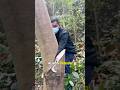 He’s Losing $200,000 a Year Because of Trees#farming #economics #investment #moneylesson #fyp