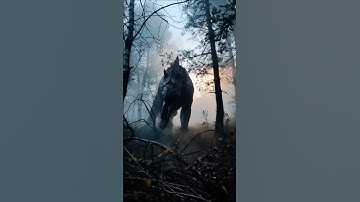 Ancient Tribe Found Living With Extinct Animals