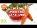 Usos Del Aceite De Zanahoria Para Regenerar La Piel | Carrot Oil For Renewed Skin - EcoDaisy