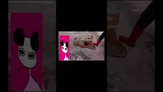 apandah rants about these rug videos