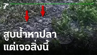 สูบน้ำหาปลา กลับเจอตัวนี้แทน | 19-09-65 | ข่าวเช้าหัวเขียว