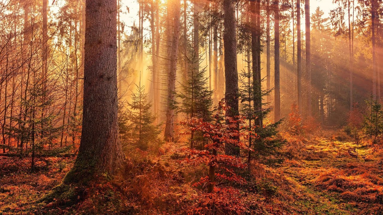 Meditationsmusik. Wunderbare Natur Entspannungsmusik