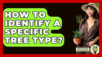 How To Identify A Specific Tree Type? - The Plant Enthusiast