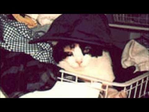 Queen - Delilah (HD)