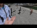 久しぶり釣ったと思ったらトラブルかえ