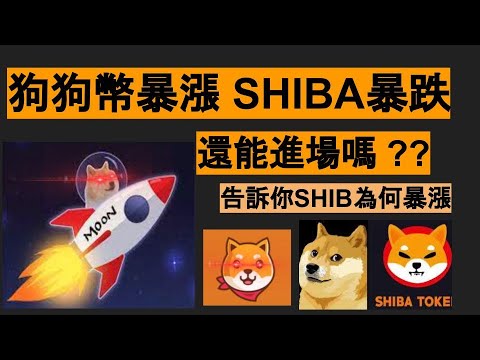 SHIB幣為何暴漲 回落怎麼辦 AKITA完美達標 幣圈春天要來了 狗狗幣上月球 比特币 以太坊 狗狗币 SHIB SHIBA AXS BTC ETH 柴犬幣 LINK Akita 分析 