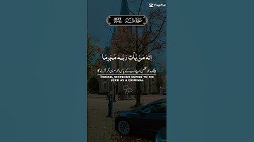 تلاوة عطرة لآيات من كتاب الله #القرآن_الكريم #القرآن #الله #اكسبلور #المصحف #foryou #راحة_نفسية #fyp