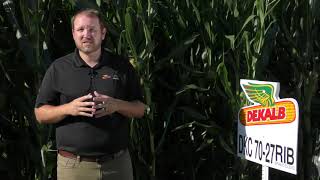 DKC70-26/27RIB